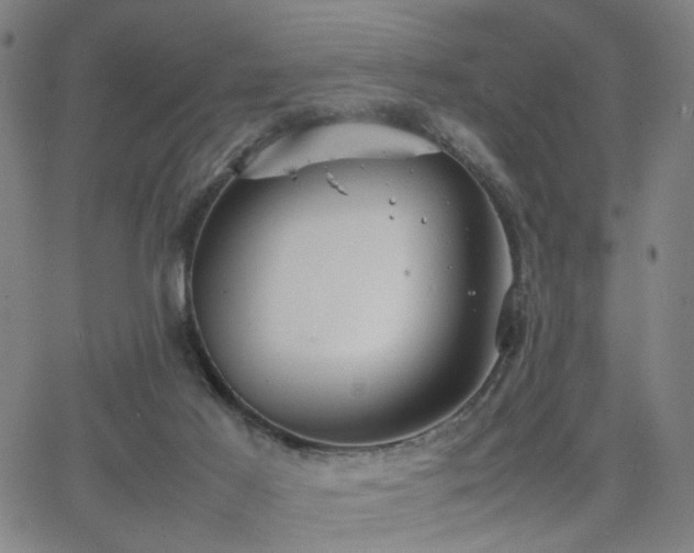 X0000064040021200601271213