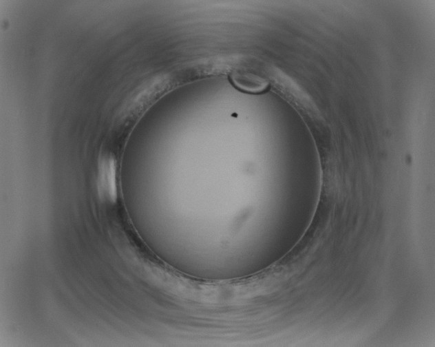 X0000064040022200601271213