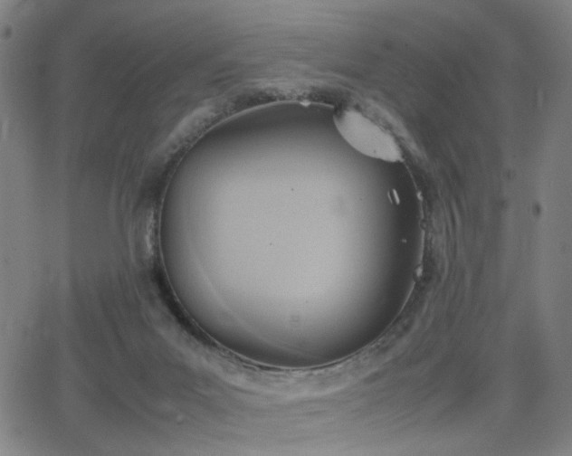 X0000064040023200601271213