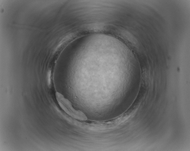 X0000064040024200601271213