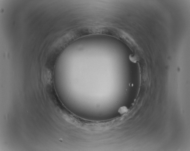 X0000064040025200601271213