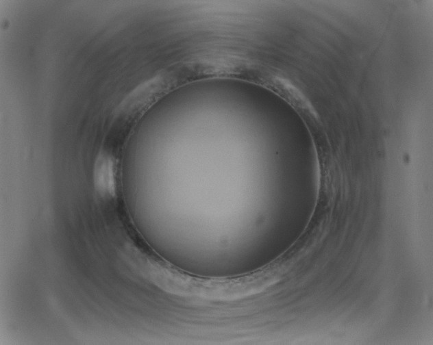 X0000064040026200601271213