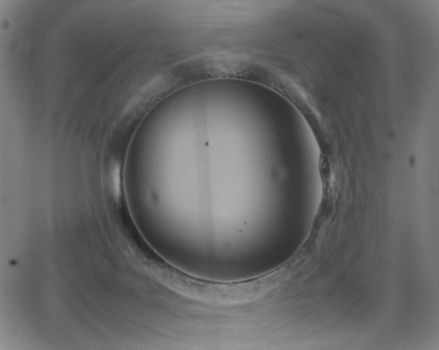 X0000064040027200601271213