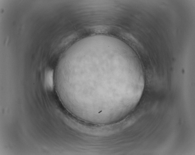 X0000064040028200601271213