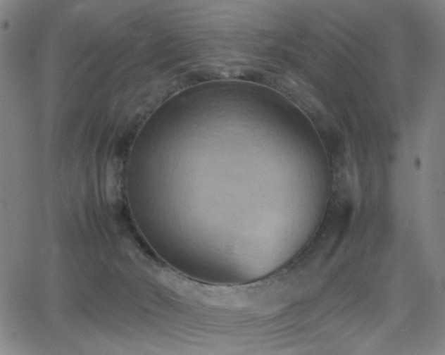 X0000064040030200601271213