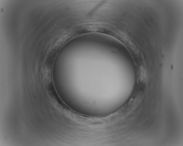 X0000064040031200601271213