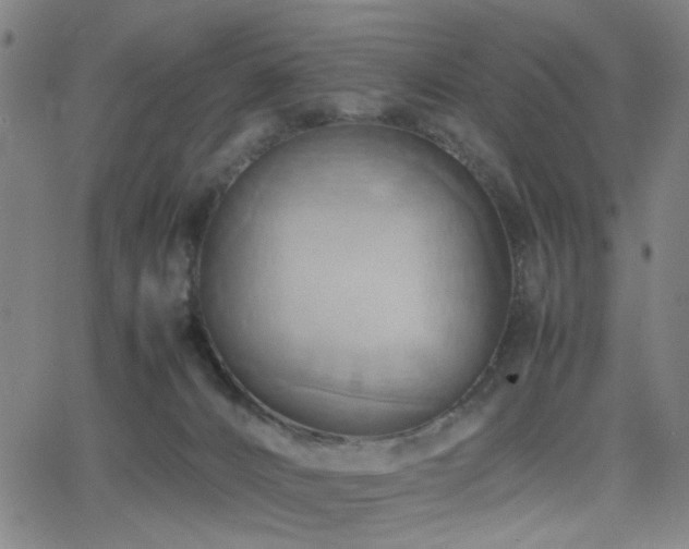 X0000064040032200601271213