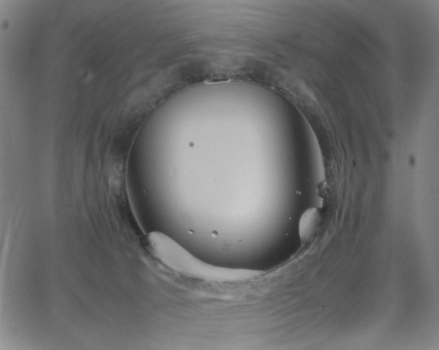 X0000064040033200601271213