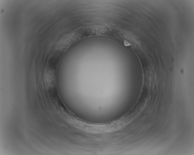 X0000064040034200601271213