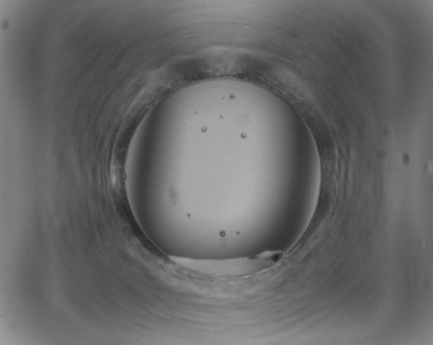 X0000064040035200601271213