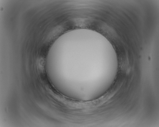 X0000064040036200601271213