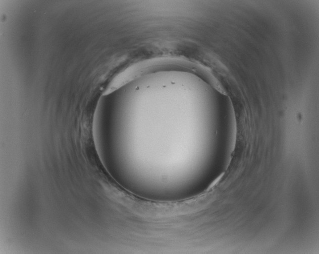 X0000064040037200601271213