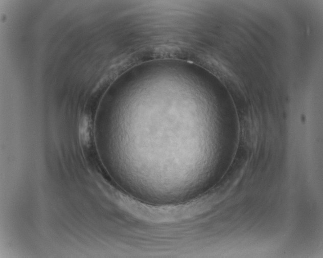 X0000064040038200601271213