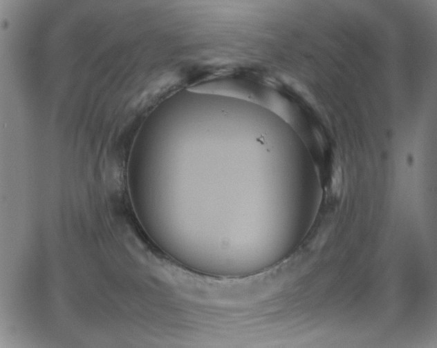 X0000064040039200601271213