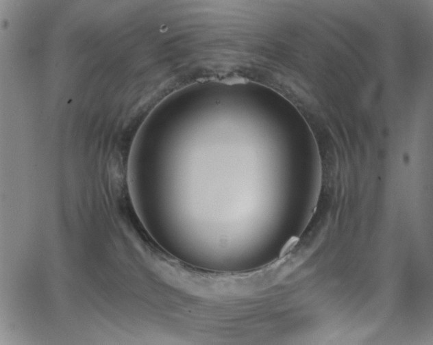 X0000064040040200601271213