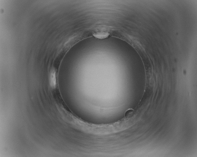 X0000064040042200601271213