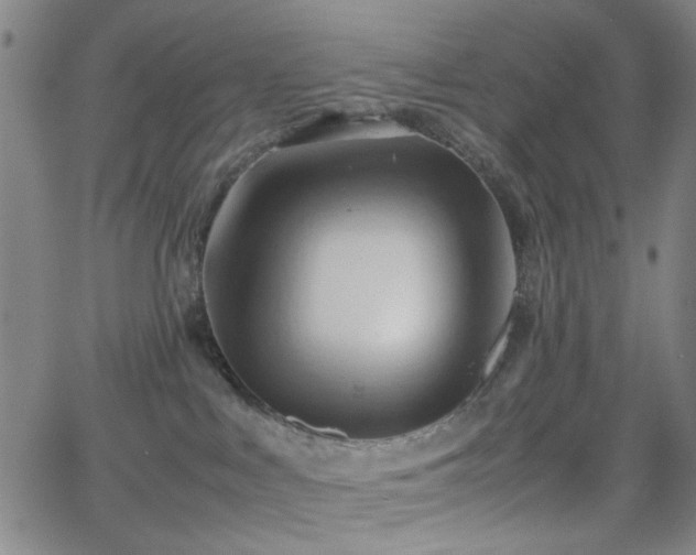 X0000064040043200601271213