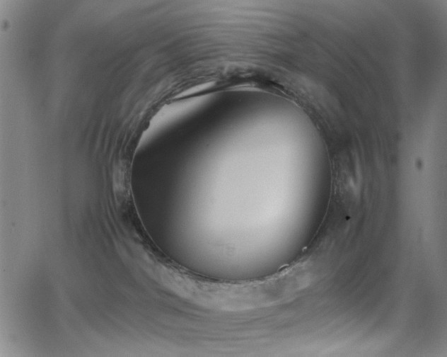 X0000064040044200601271213