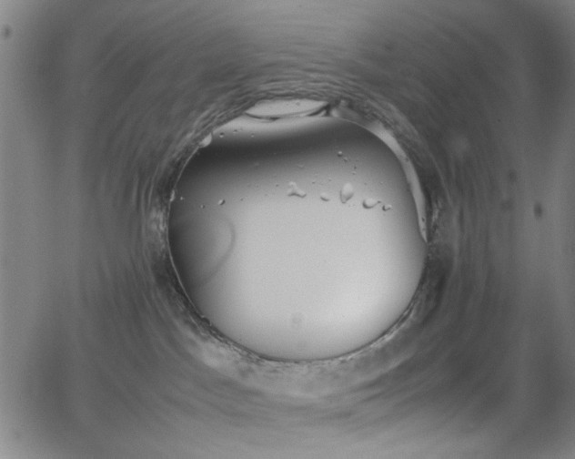 X0000064040045200601271213