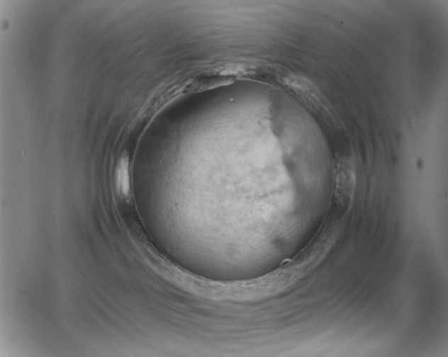 X0000064040046200601271213