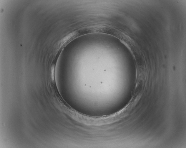 X0000064040047200601271213