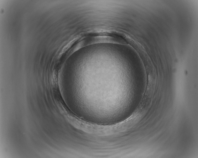 X0000064040048200601271213