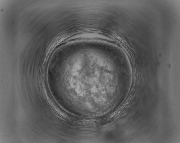 X0000064040049200601271212