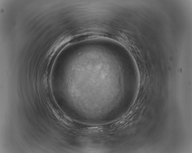 X0000064040050200601271212