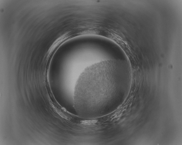 X0000064040051200601271212