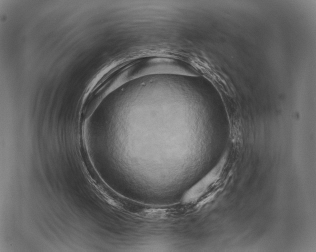 X0000064040052200601271212