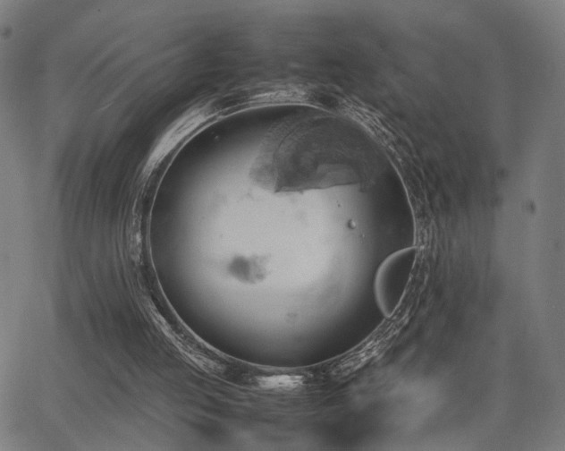 X0000064040053200601271212