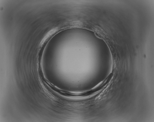 X0000064040054200601271212