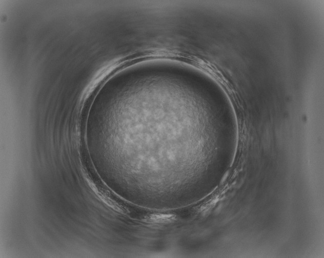 X0000064040055200601271212