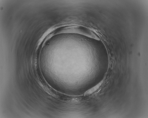 X0000064040056200601271212