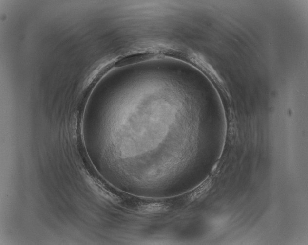 X0000064040058200601271212