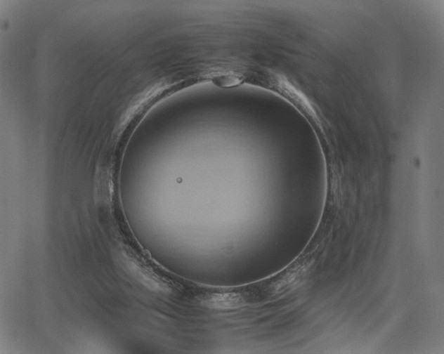 X0000064040059200601271212