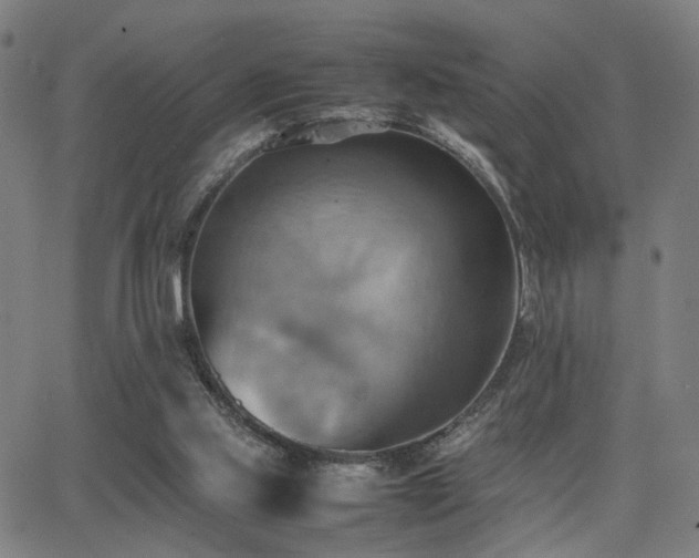 X0000064040061200601271212