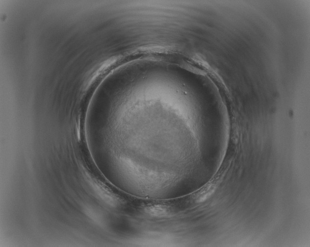 X0000064040062200601271212