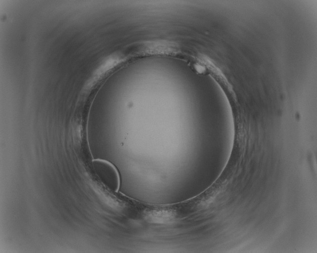 X0000064040063200601271212