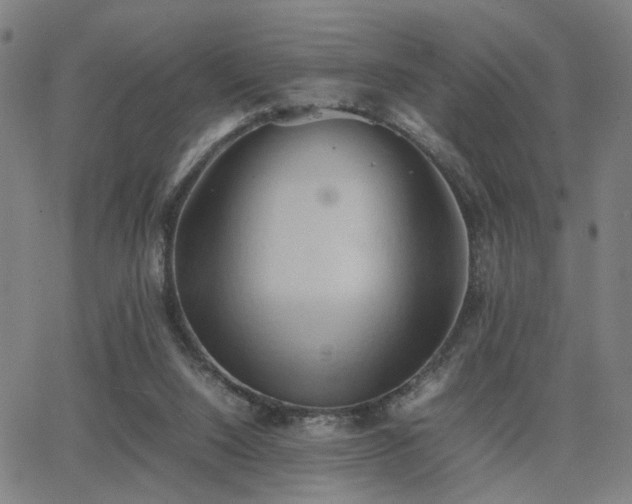 X0000064040064200601271212