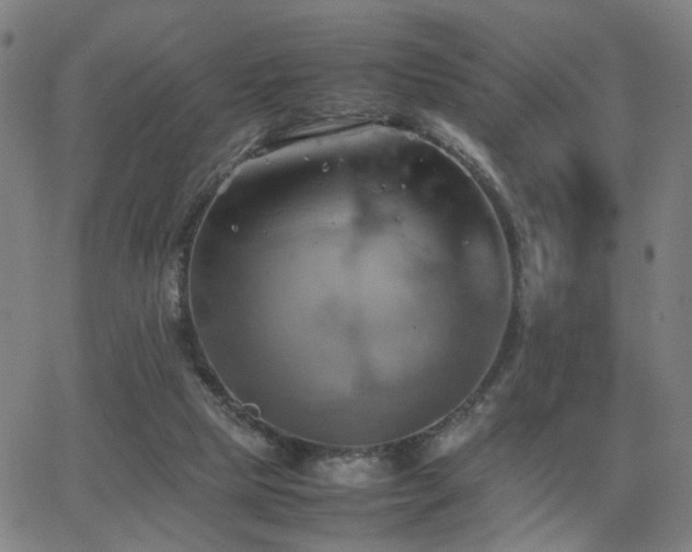 X0000064040065200601271212