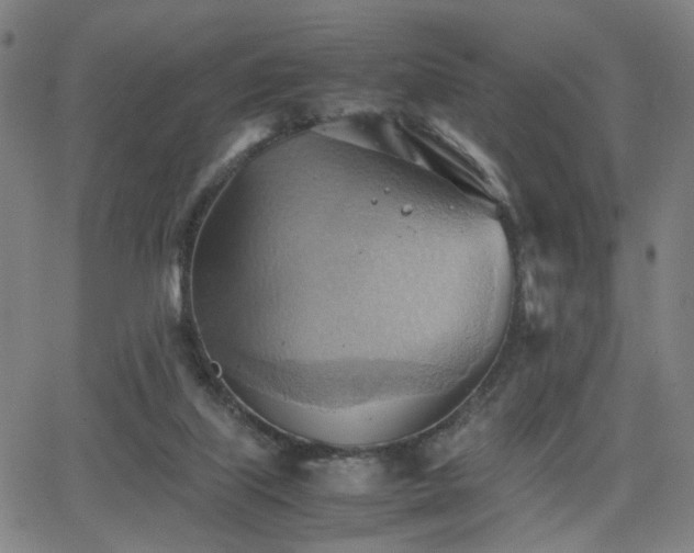 X0000064040067200601271212