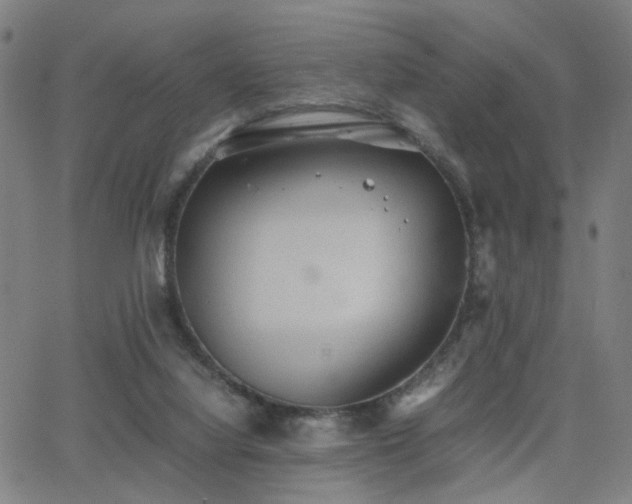 X0000064040068200601271212