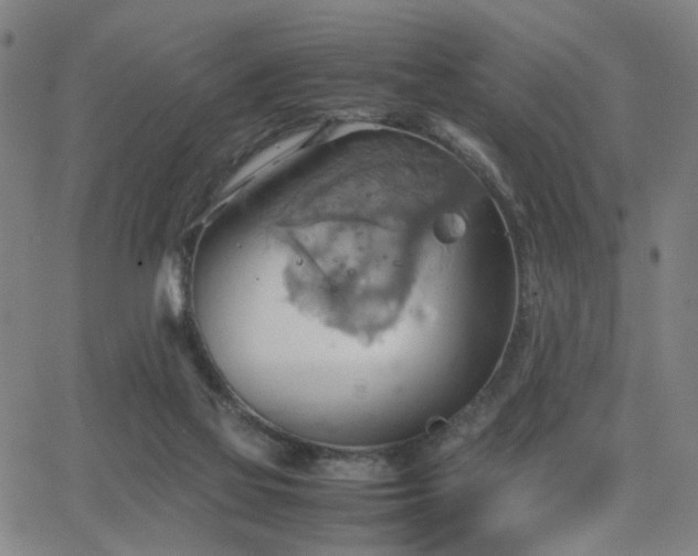 X0000064040069200601271212