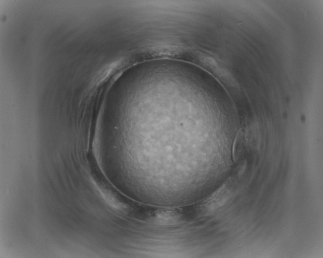 X0000064040070200601271212