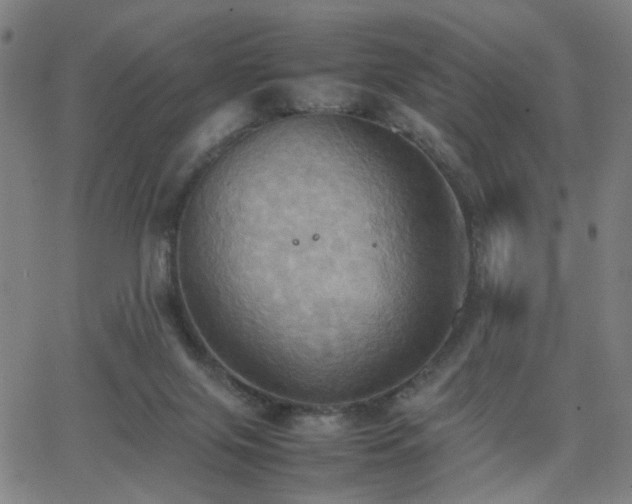 X0000064040071200601271212