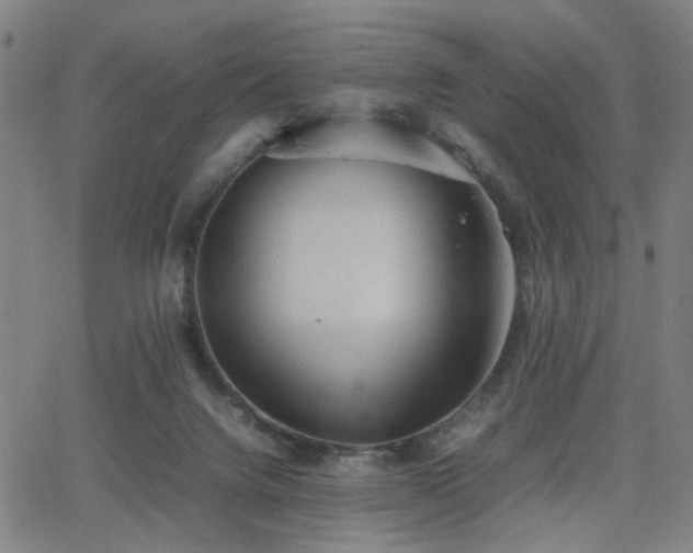 X0000064040072200601271212