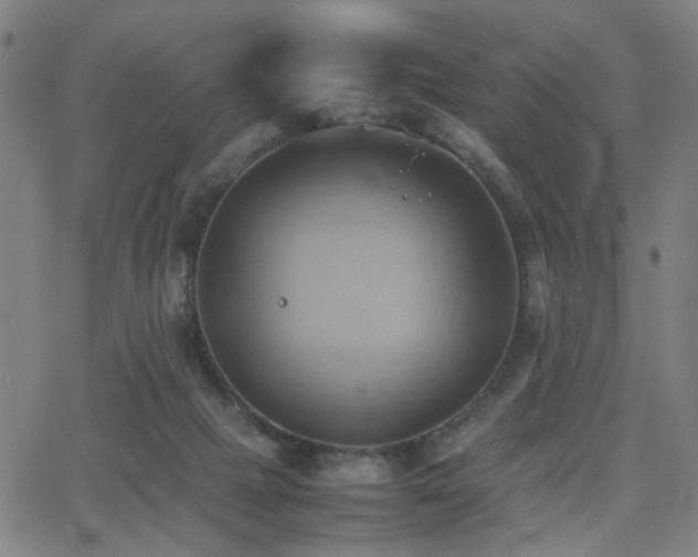 X0000064040073200601271212