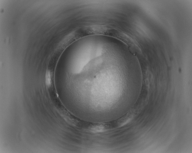 X0000064040075200601271213