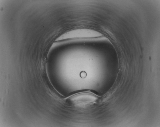 X0000064040077200601271213